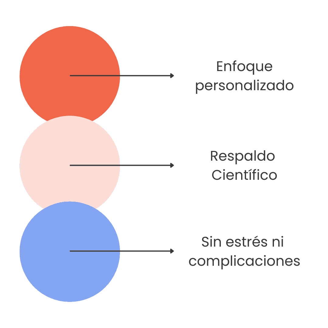 qué es diadica